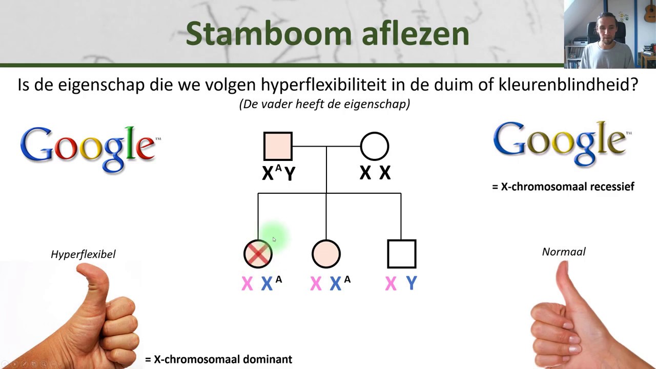 Verschil Tussen Familiaal En Erfelijk
