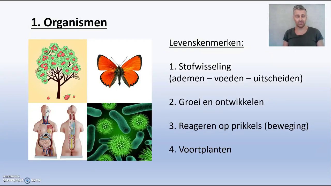 Biodam thema 1 organen en cellen - organismen en bouw - YouTube - Een Deel Van Een Organisme Met Een Of Meer Functies