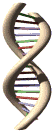 Biología Molecular para tercer semestre de Medicina.UCE: 1er CRISPR in - U He Diva Registration Code