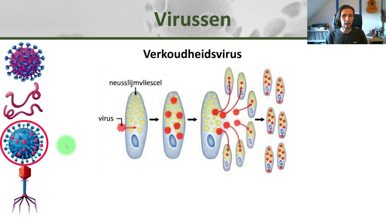 Biologie - Hoe bacteriën, schimmels en virussen ons ziek maken - Welke Schimmel Wordt Gebruikt Om Een Antibioticum Te Maken