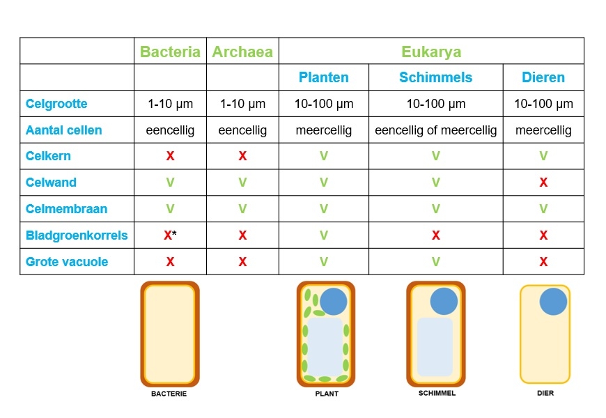 Antwoorden Biologie Voor Jou Vmbo 3