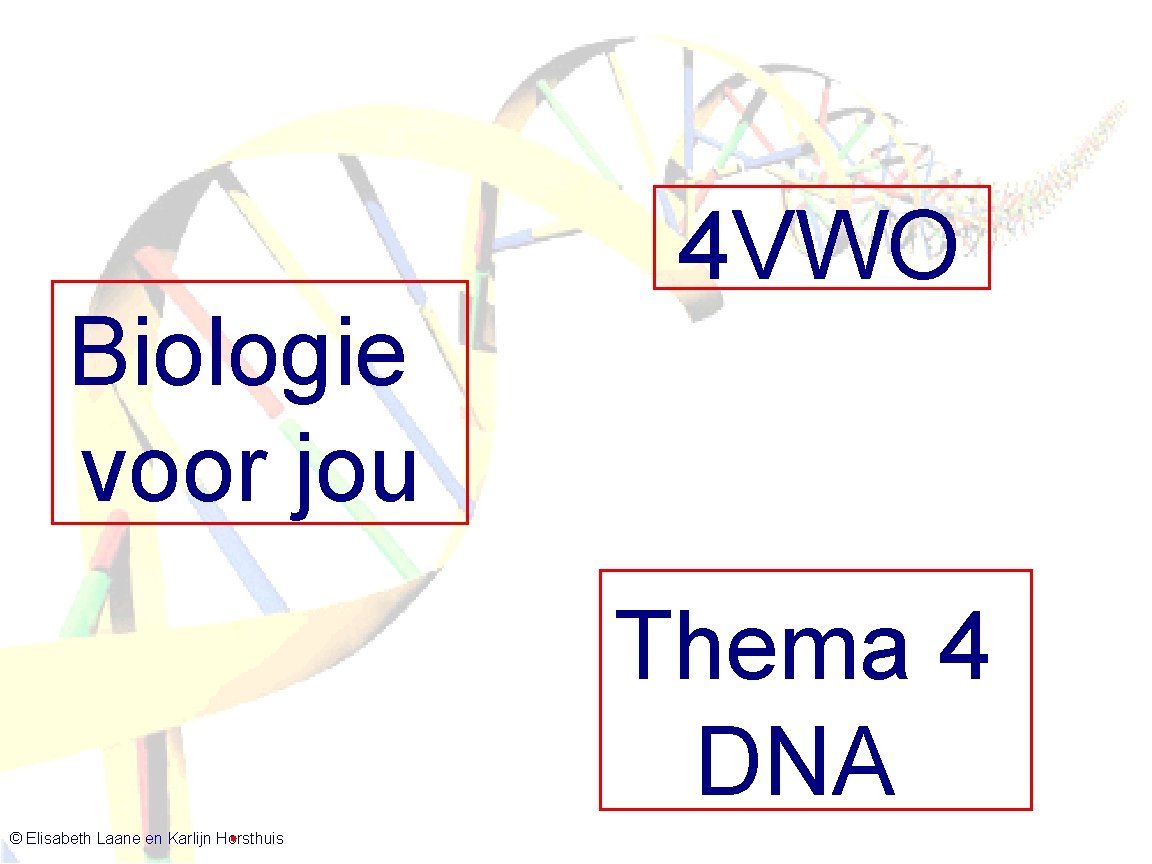 Biologie voor jou 4 VWO Thema 4 DNA - Antwoorden Biologie Voor Jou Vmbo 4