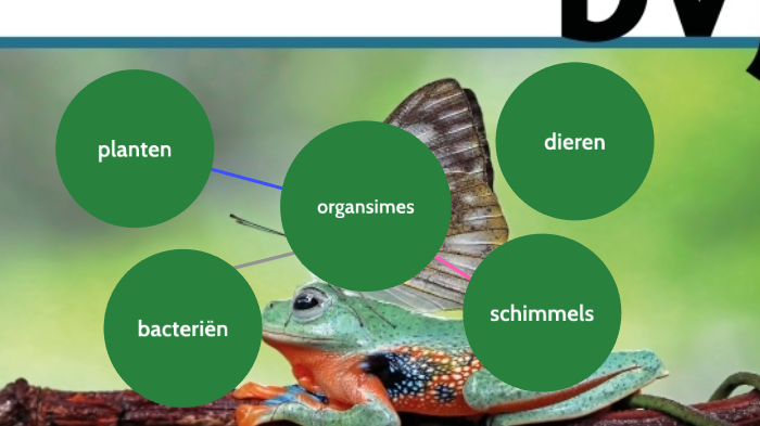 biologie voor jou mindmap by bbraman . on Prezi - Antwoorden Biologie Voor Jou Thema 5