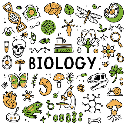 Biologie Voor Jou Havo/vwo 1 Antwoorden