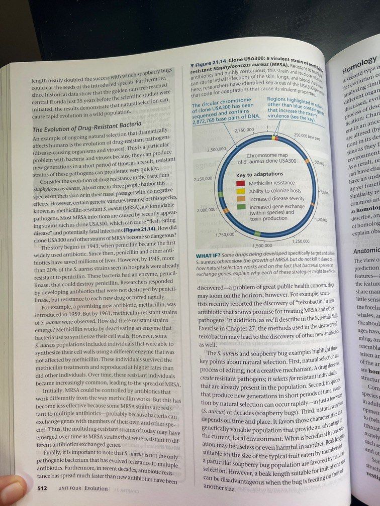 Biology A Global Approach 12th edition, Hobbies & Toys, Stationery - Biology A Global Approach 12th Edition