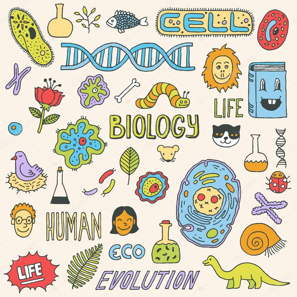 Biology doodles — Stock Vector © Sashatigar #51488049 - Biologie Havo 4 Hoofdstuk 1