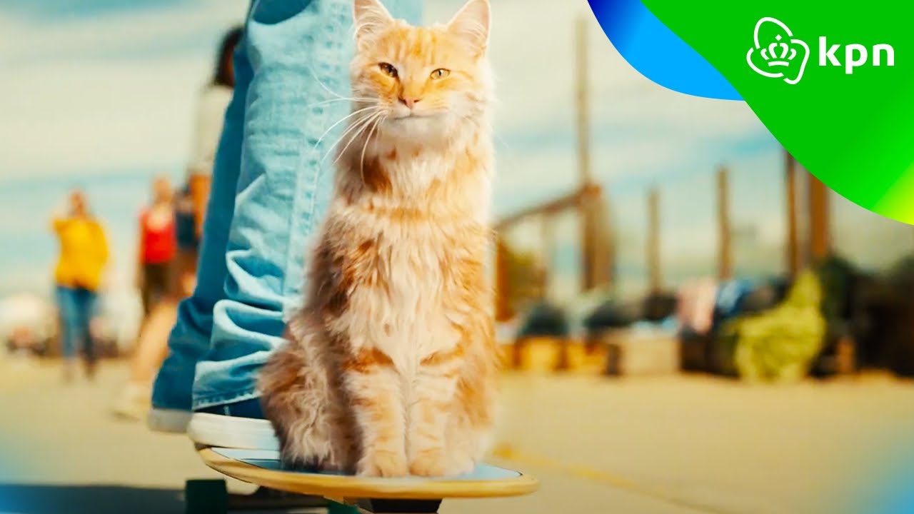 Blijf gaan met KPN Unlimited | het snelste 5G netwerk van Nederland - Waar Zit Ziggo Sport Bij Kpn
