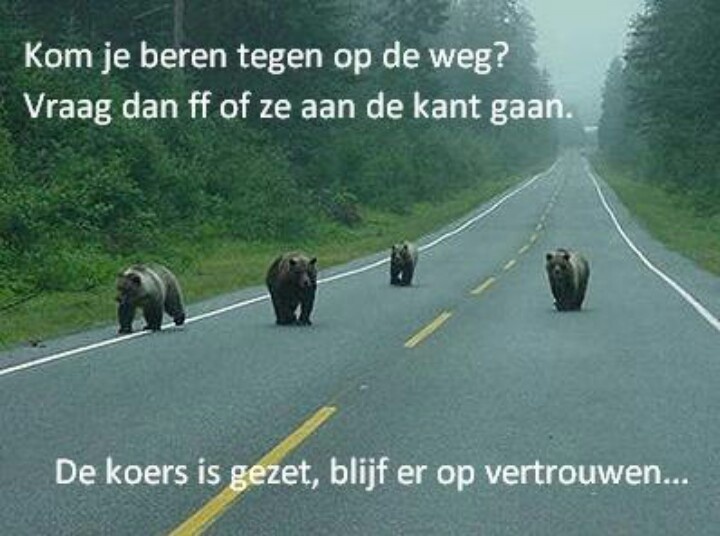 Beren Op De Weg Zien Betekenis