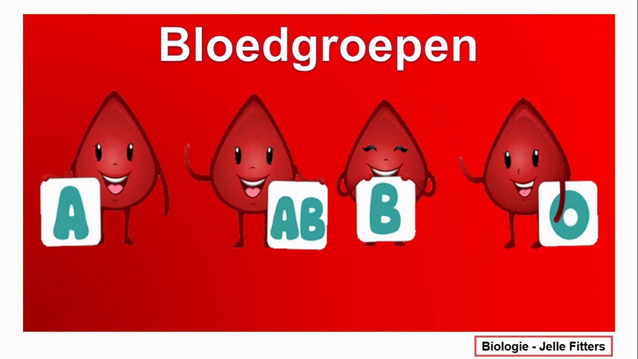 Bloed - Bloedgroepen - YouTube - Welke Bloedgroep Kan Aan Iedereen Geven