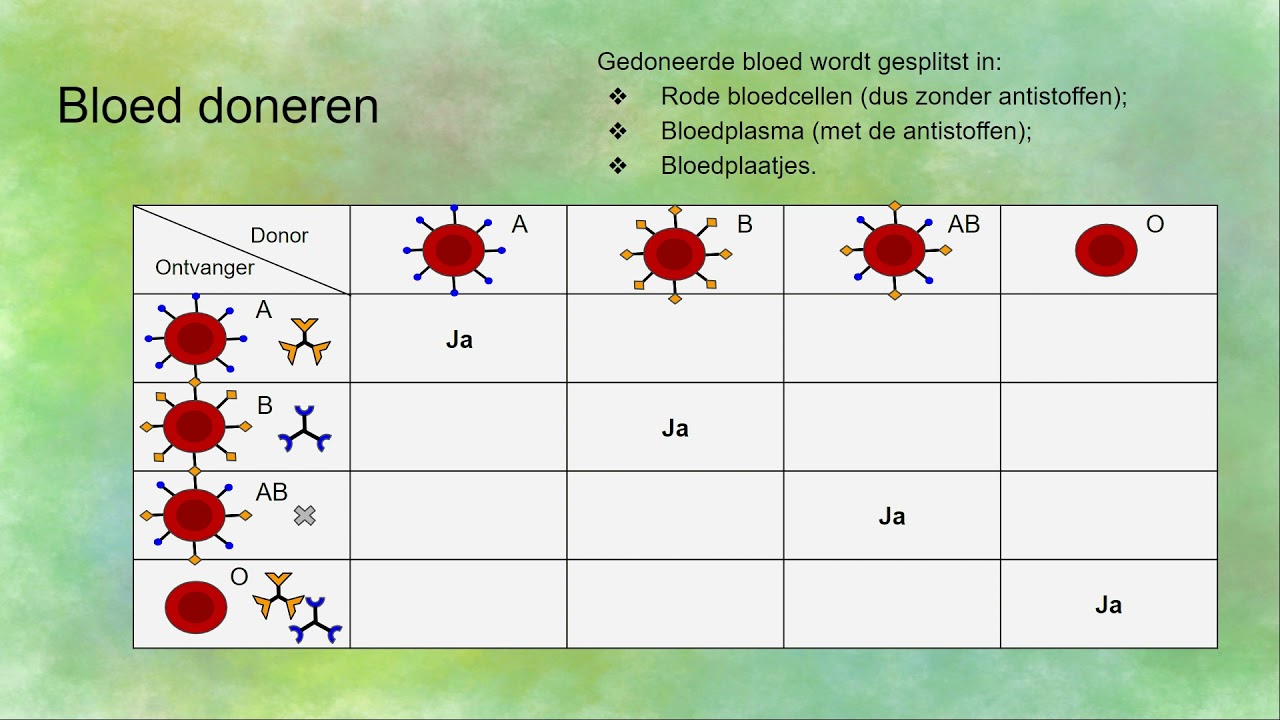 Bloedgroepen (A, B, AB en O) en bloed doneren - YouTube - Donor Worden Voor En Nadelen