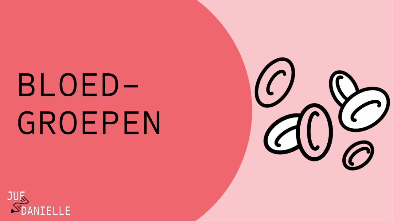 Welke Bloedgroep Kan Iedereen Ontvangen