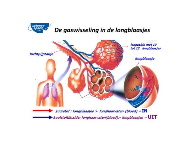 Welke Invloed Heeft De Toevoer Van Zuurstof Op Een Gloeibrand