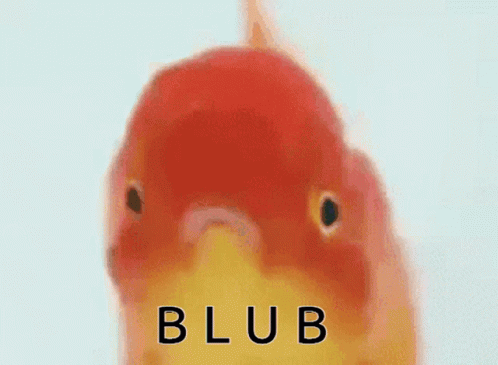 Blub Ik Ben Een Vis Film