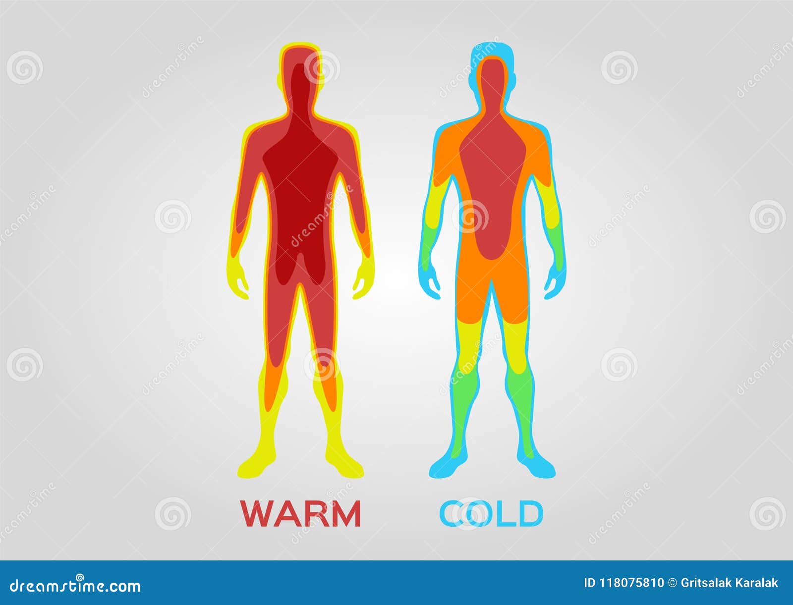 Body Temperature Checking Illustrator Template Cartoon Vector - Lichaamstemperatuur Beinvloeden Door Middel Van Koude Of Warmtebehandeling