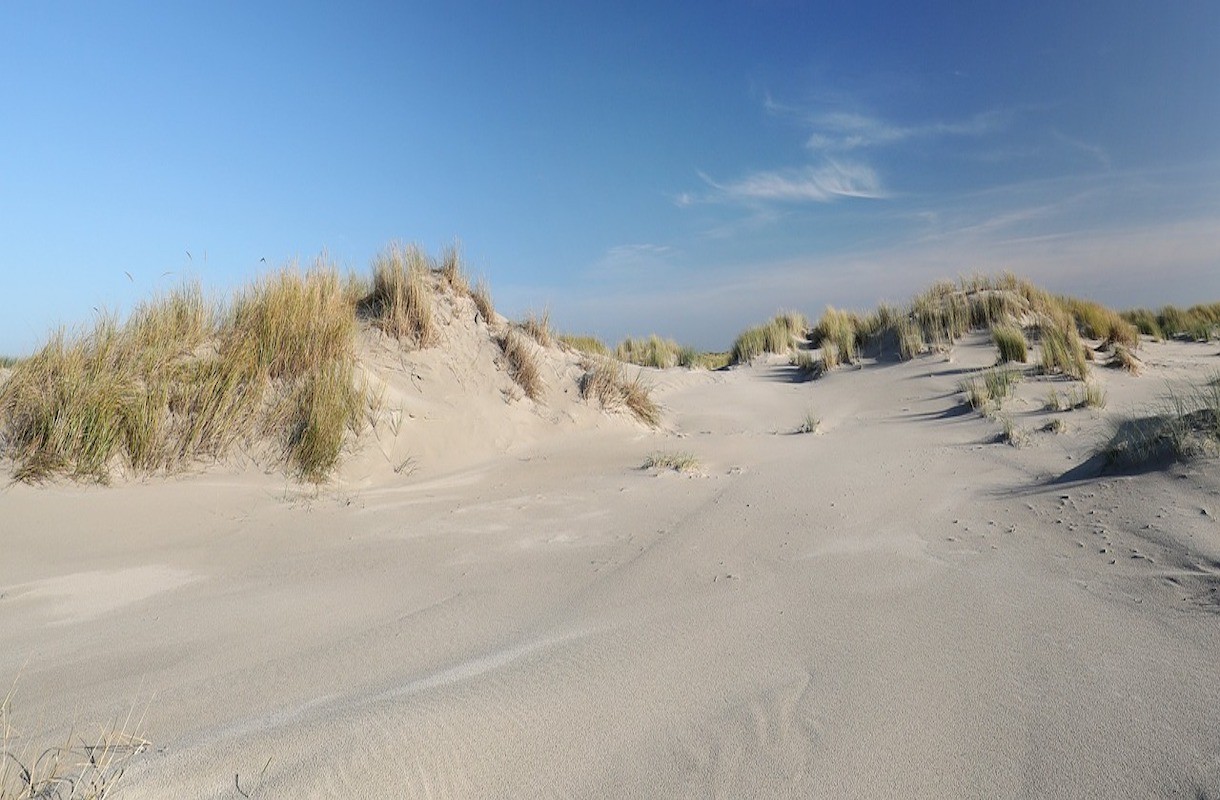 Boek je eerstvolgende vakantie naar een van de Waddeneilanden - Holland - Wanneer Is De Eerst Volgende Vakantie