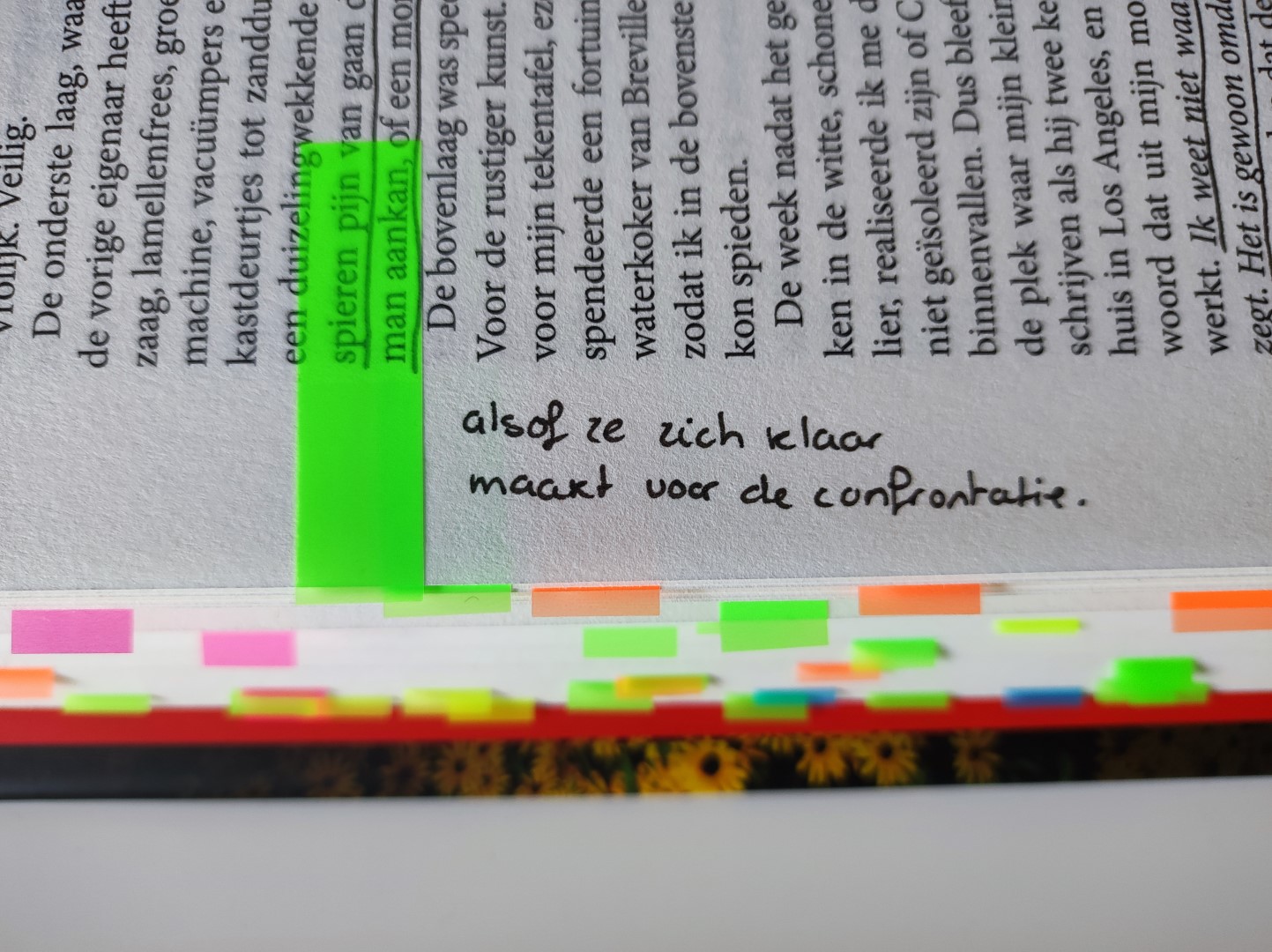 Boeken annoteren - Waarom zou je dat doen?! - Gerinda Kappert - Waarom Zou Je Dat Doen