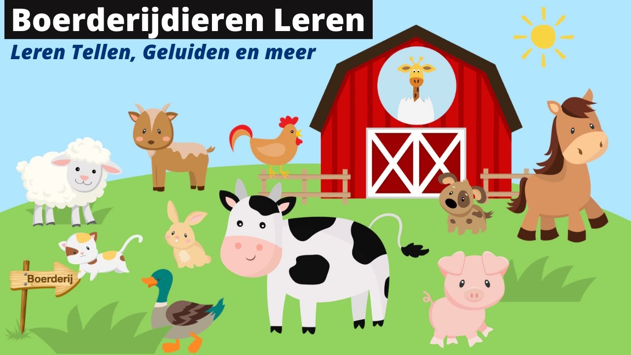 Boerderijdieren leren met de Speelgoedmeneer | Tellen, geluiden en meer - 3 Dieren In 1 Tekenen