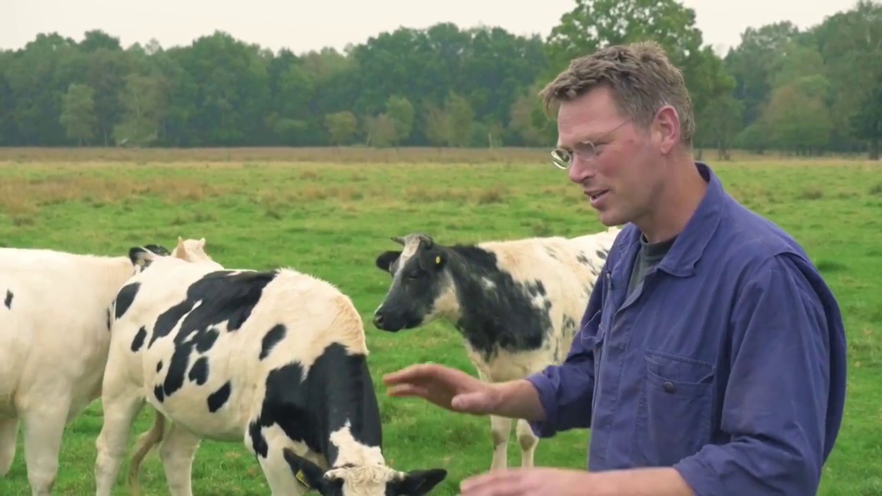 Boeren met Toekomst (documentaire, 2018) - YouTube - Mest Kopen Bij De Boer
