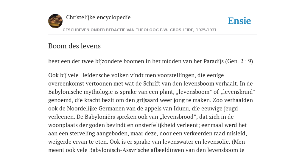 Gedicht Boom Des Levens