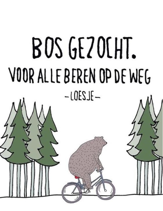 Bos Gezocht Voor Alle Beren Op De Weg