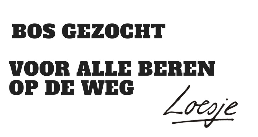 Bos gezocht voor alle beren op de weg - Bos Gezocht Voor Alle Beren Op De Weg