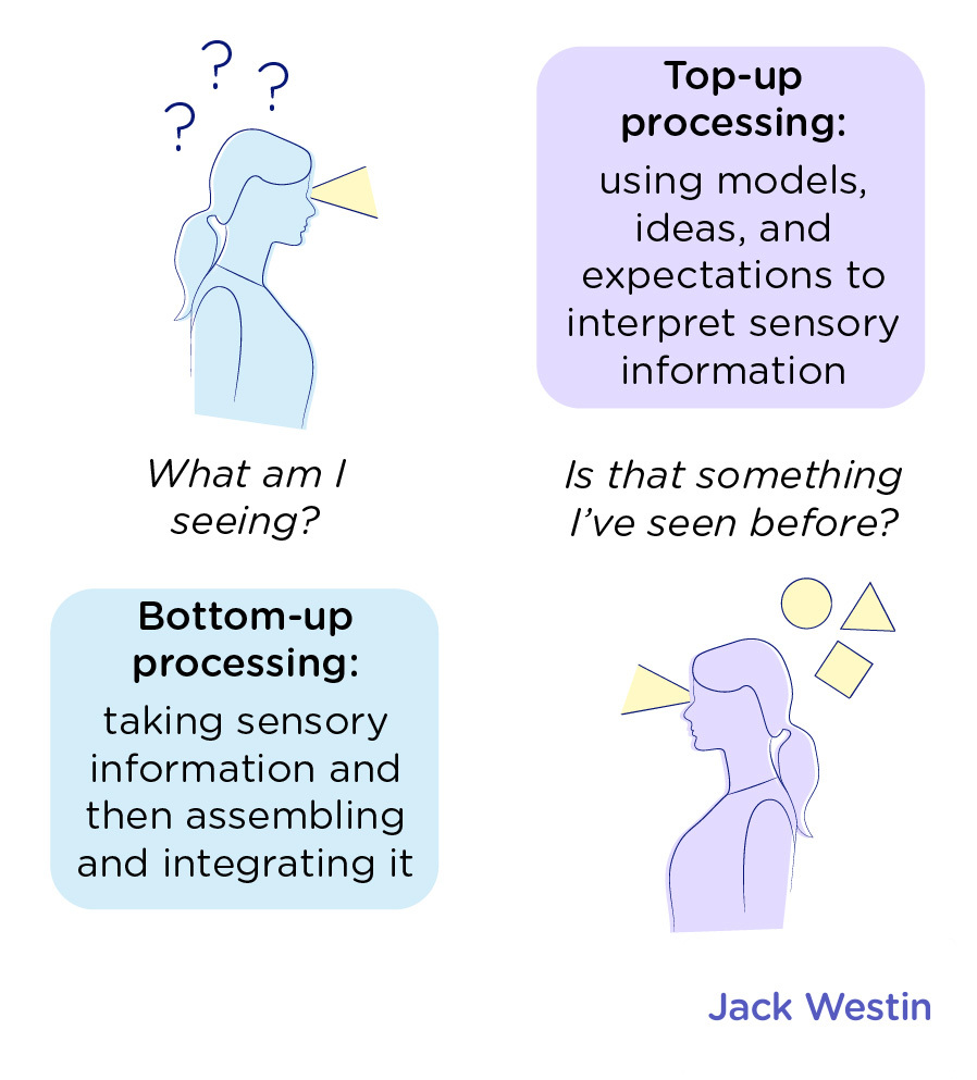 Bottom Up And Top Down Processing - Perception - MCAT Content - Bottom Up And Top Down Processing