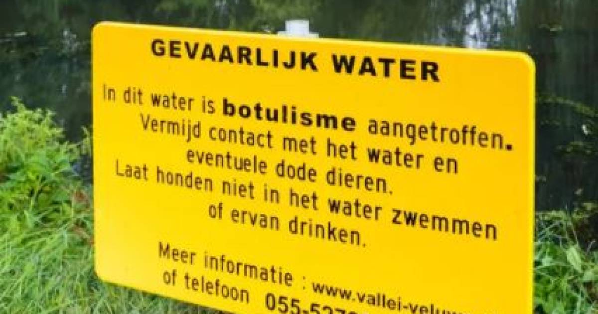 Het Weer In Ederveen