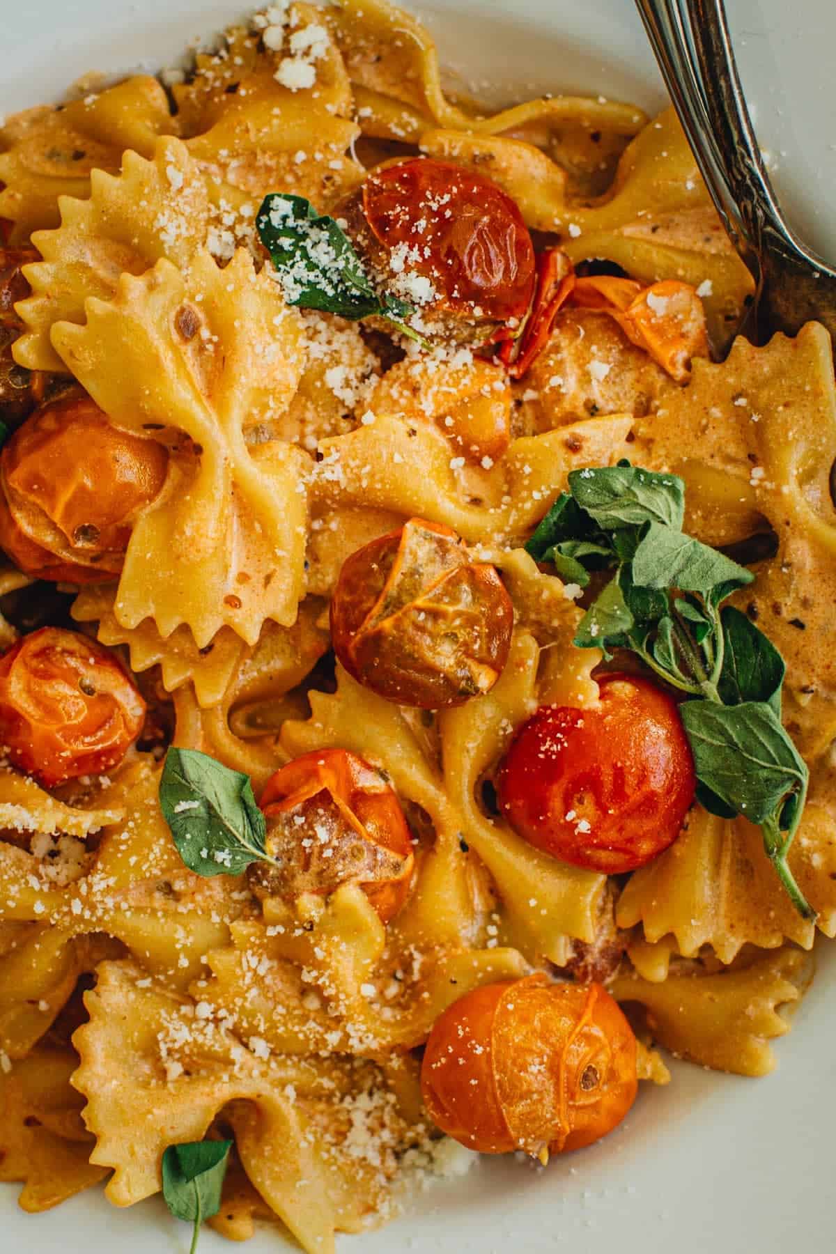 Bow Tie Pasta - Aimee Mars - Pasta Met Zalm En Spinazie A La Creme
