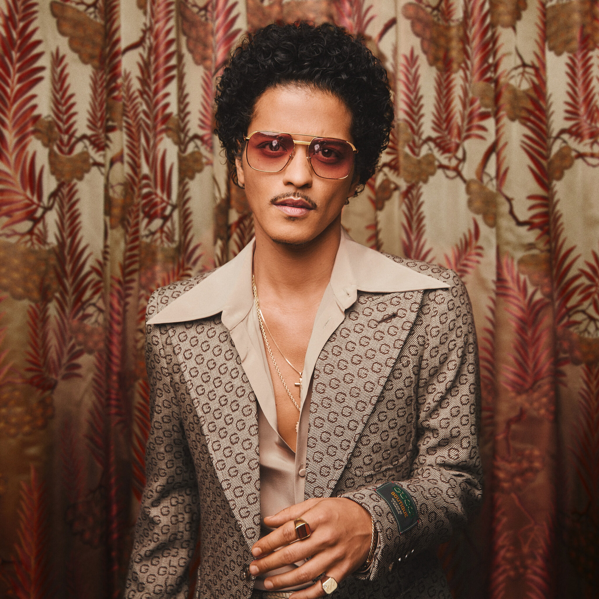 Bruno Mars Concerts … - Gena Pegeen - Bruno Mars I Am Your Man