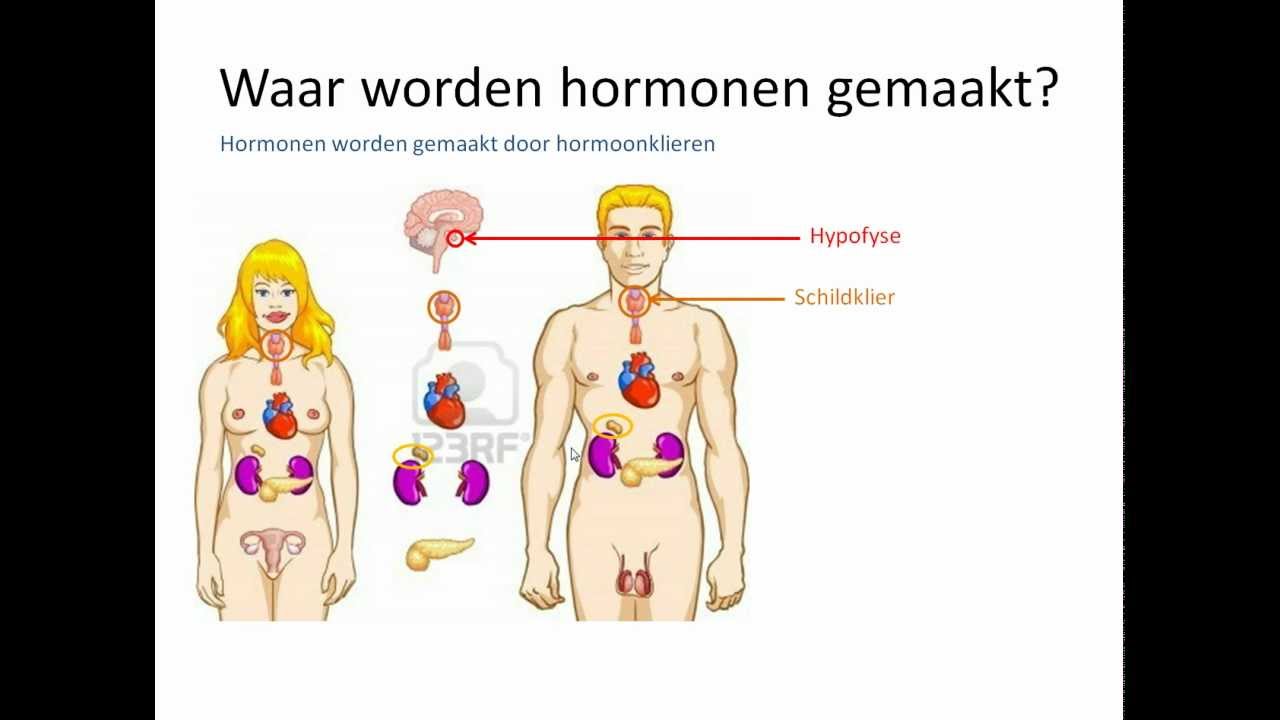 bs 5.1 hormonen - YouTube - Welke Hormonen Zitten In De Pil