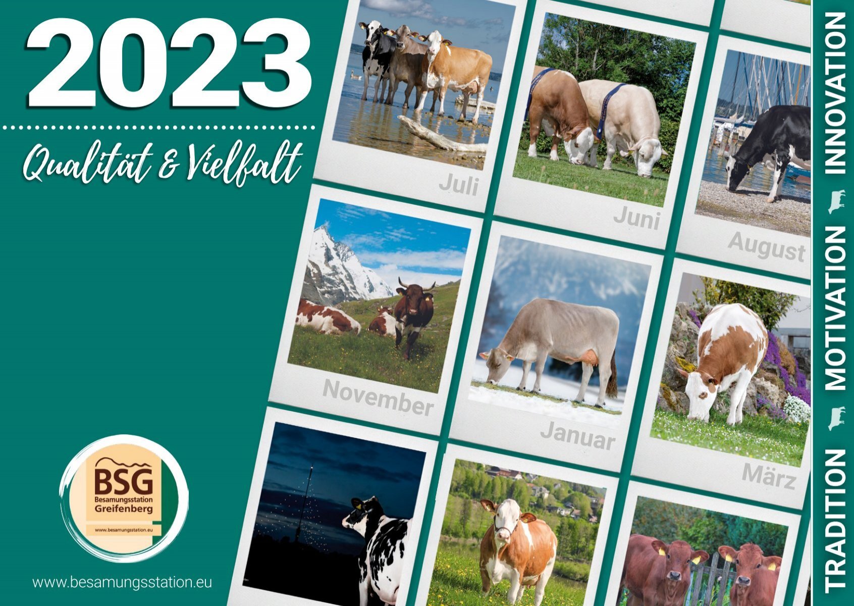 BSG Kalender 2023 - Wanneer De Mieren Schreeuwen Samenvatting