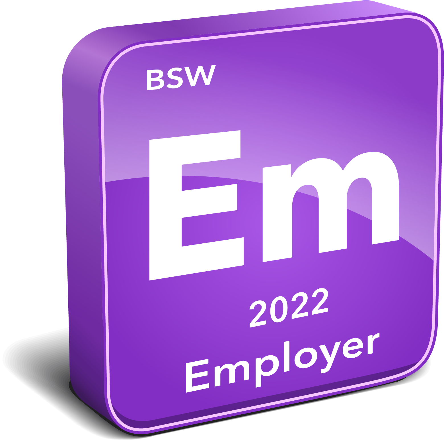 Bsw Peopleplace - Social Work Mbo Niveau 3