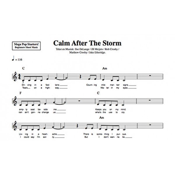 Calm After The Storm - The Common Linnets - After The Storm The Common Linnets