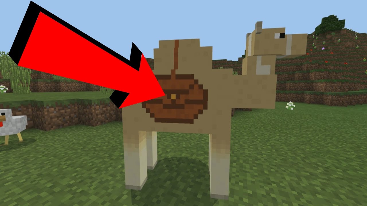 CAMELS in Minecraft Pocket Edition (Minecraft Addon) - YouTube - Wat Eet Een Kameel In Minecraft