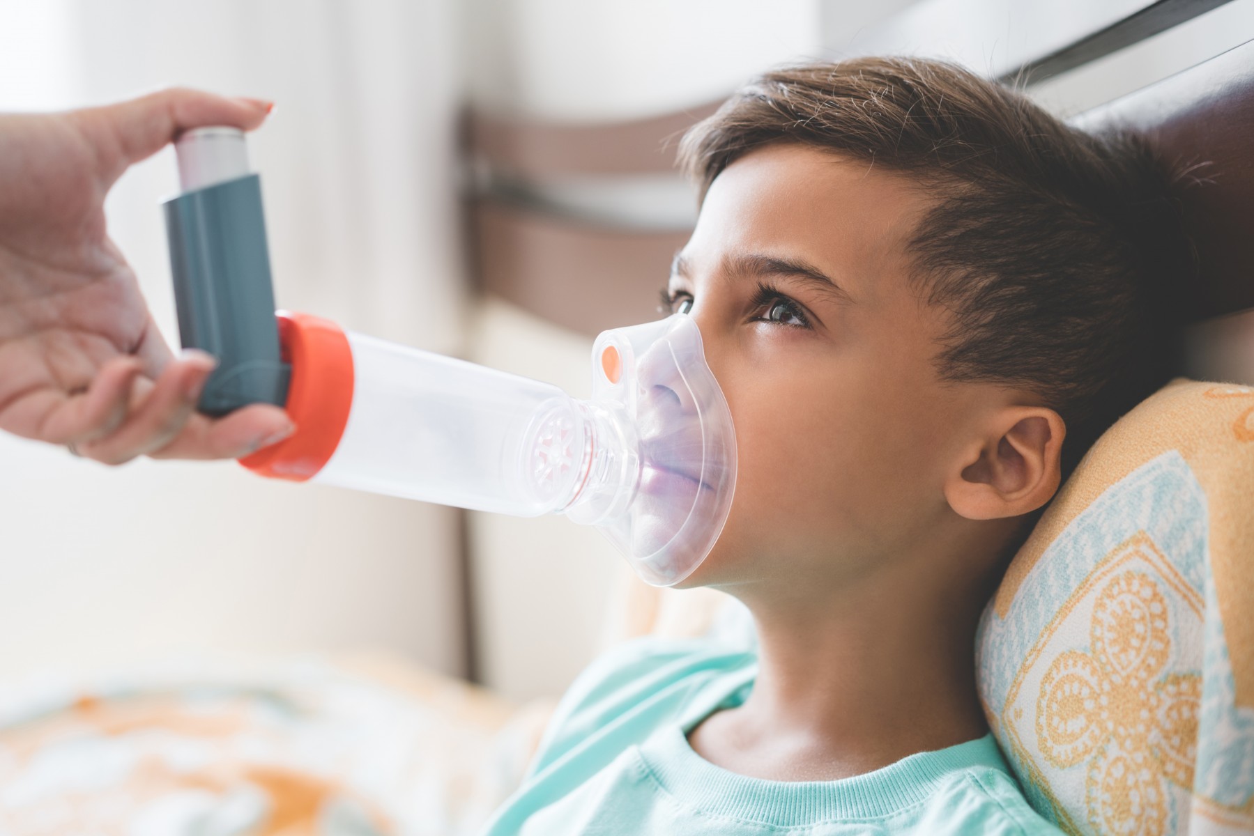 Can Dog Hair Cause Asthma In Babies - Hoesten 's Nachts Kind Astma