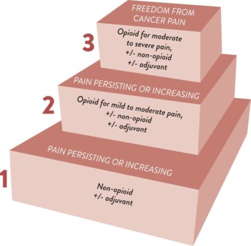 Cancer Pain: WHO Analgesic Ladder - OpenAnesthesia - Who's Afraid Of Virginia Woolf Samenvatting