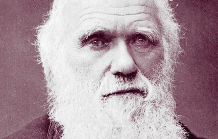 Wie Is De Bedenker Van De Evolutietheorie