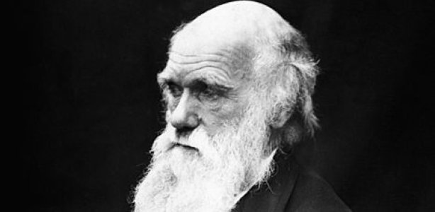 Charles Darwin: Bedenker van de evolutietheorie | IsGeschiedenis - Wie Is De Bedenker Van De Evolutietheorie