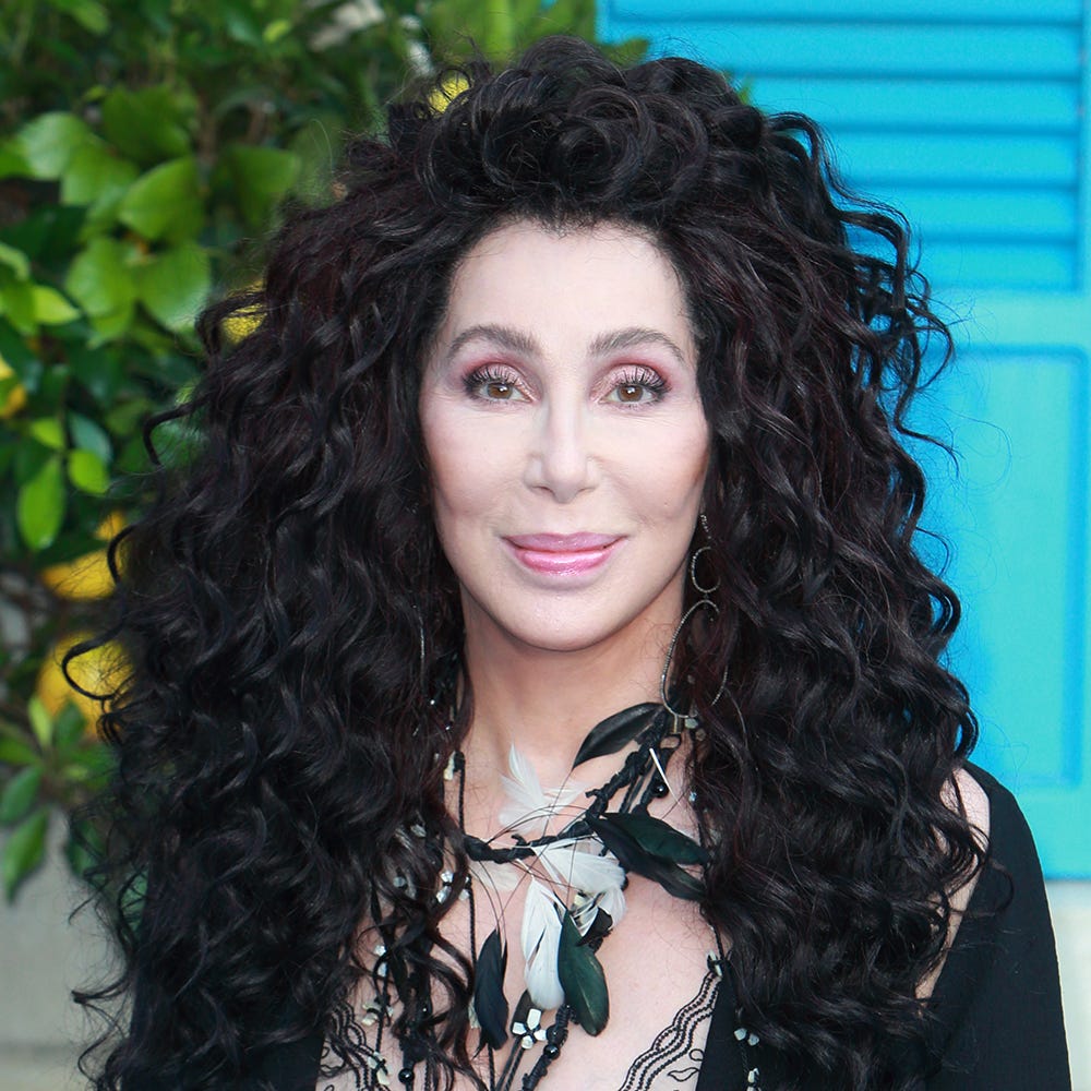 Cher - Cher Babe I Got You Babe