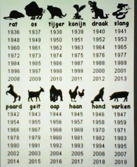 Chinese dieren kalender - Yoors - Wat Is Mijn Horoscoop In Het Chinees