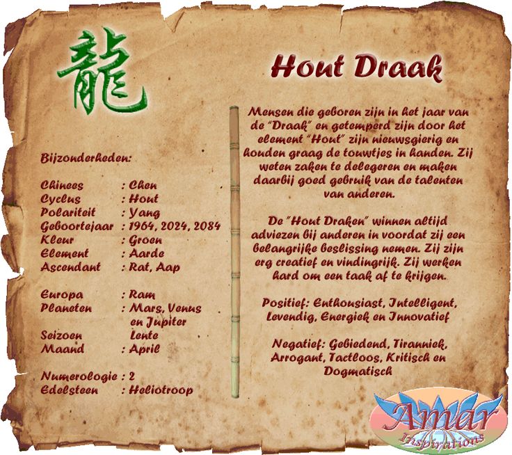Het Jaar Van De Draak Chinese Horoscoop