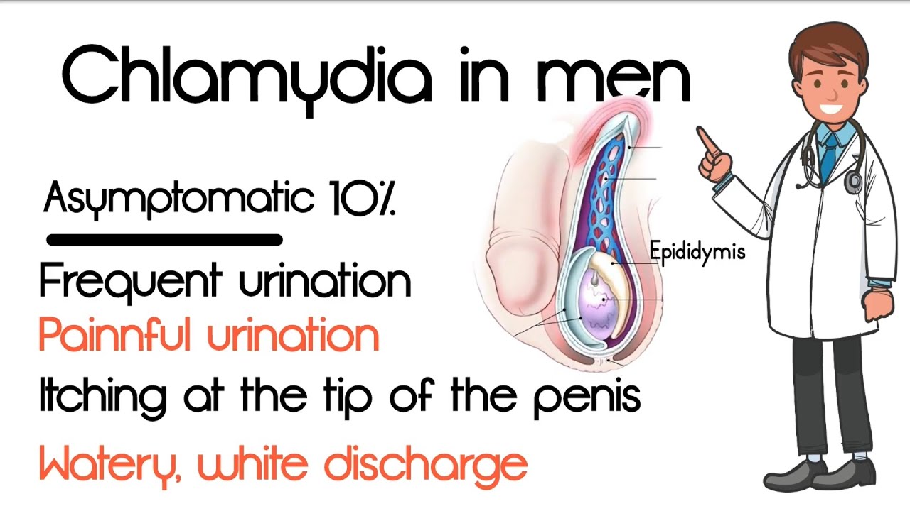 Chlamydia in men: Pictures, treatment, causes, symptoms, signs - Hoe Ziet Chlamydia Eruit Bij Mannen
