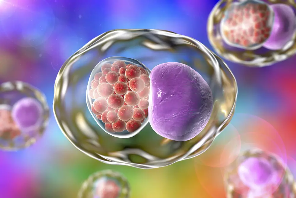 Chlamydia in Women | causes, symptoms, diagnosis, treatment - Chlamydia Hoe Krijg Je Het