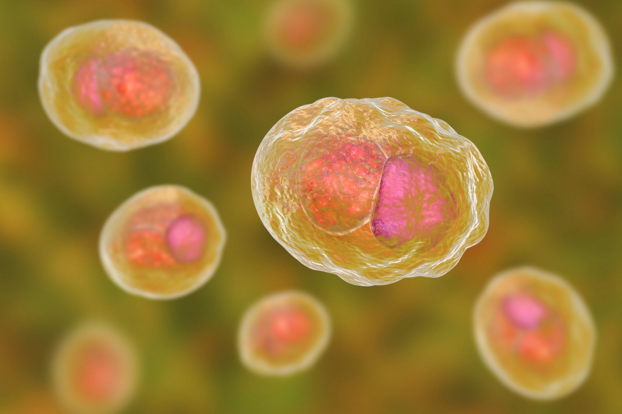 Chlamydia Trachomatis Bacteria - Chlamydia Hoe Krijg Je Het
