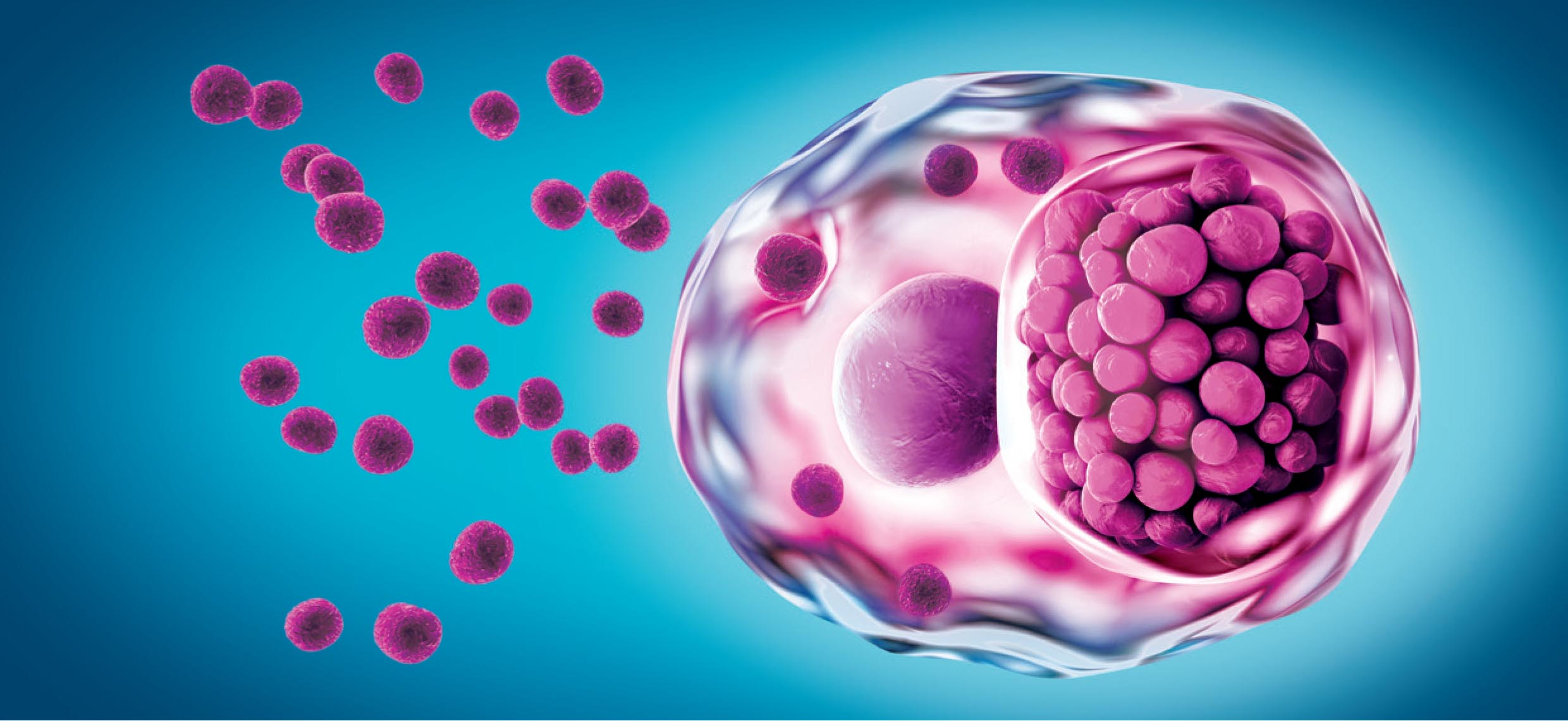 Chlamydia Trachomatis: Importancia del diagnóstico - Instituto de - Chlamydia Genitaal Wrat Vrouw Symptomen