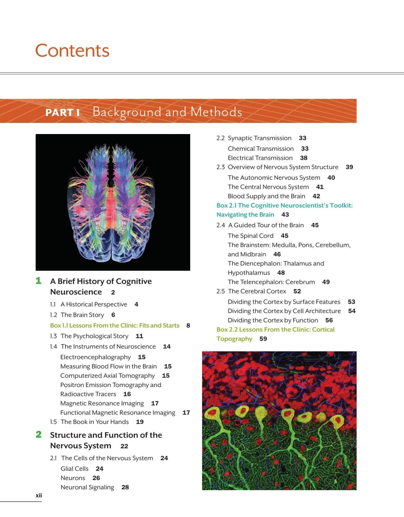 Cognitive Neuroscience: The Biology of the Mind – E-books Max30 - Cognitive Neuroscience The Biology Of The Mind