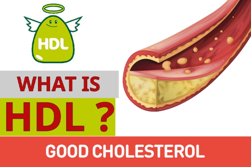 Wat Is Een Normaal Cholesterolgehalte