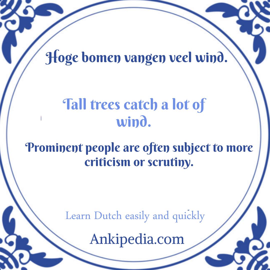Common Dutch sayings & expressions in English. Visualized as tiles. - Hoge Bomen Vangen Veel Wind Betekenis