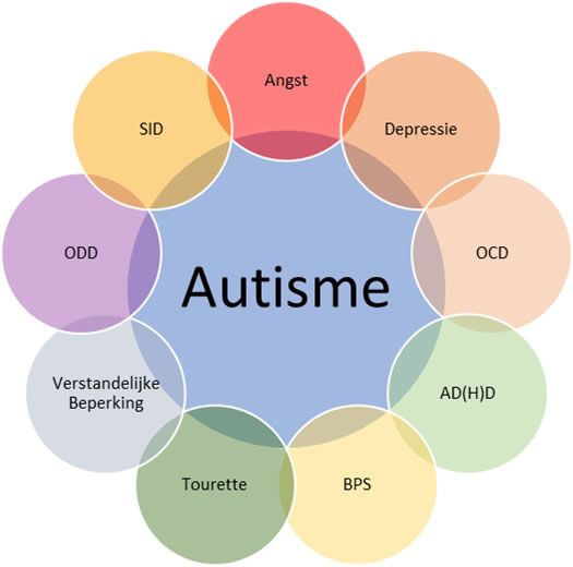 Hoeveel Vormen Van Autisme Zijn Er