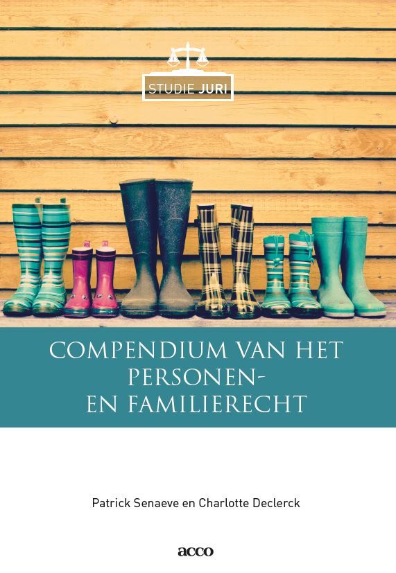 Compendium Van Het Nederlands Vermogensrecht